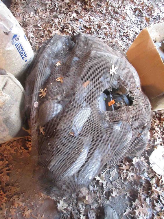Bag of plastic duck decoys