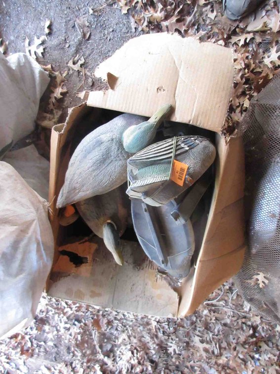 Box of plastic duck decoys