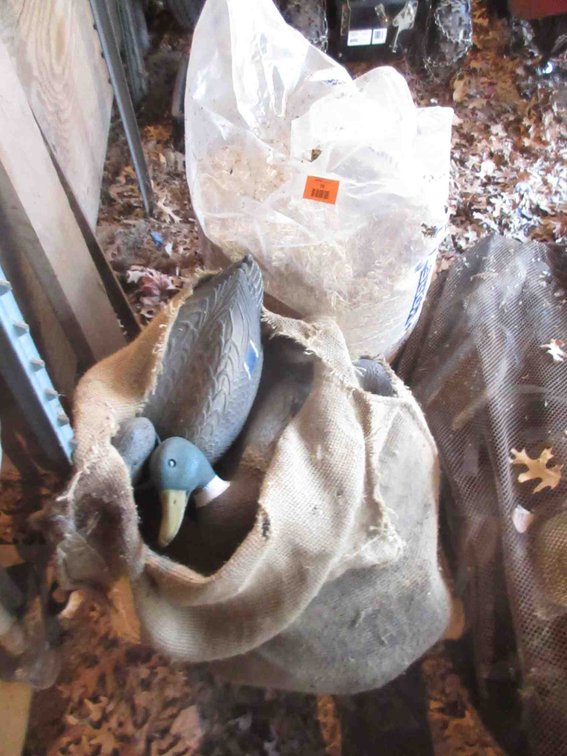 Group of plastic duck decoys