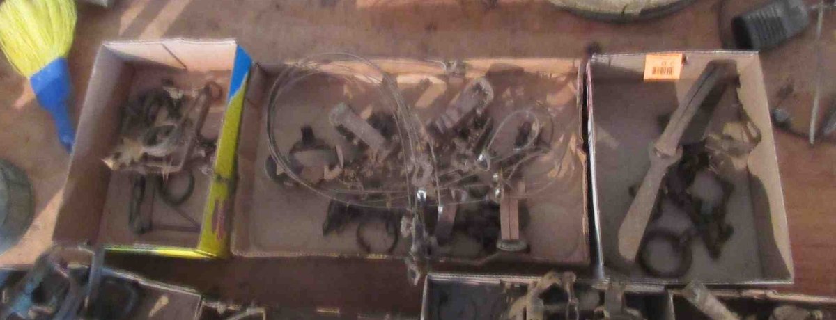 (3) Boxes of traps