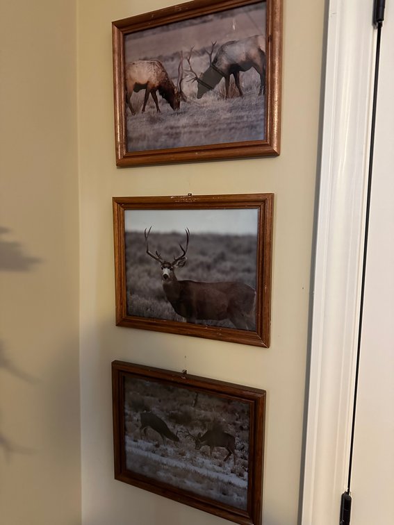 Deer Pictures and Western Theme items 