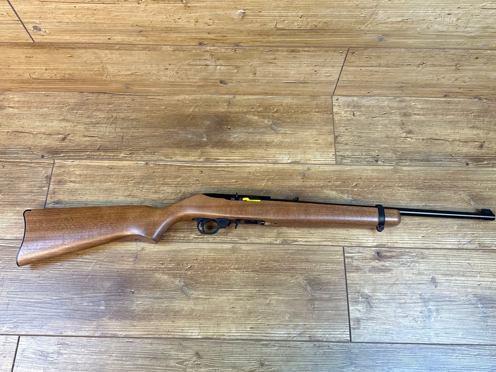 Ruger 10-22 .22cal