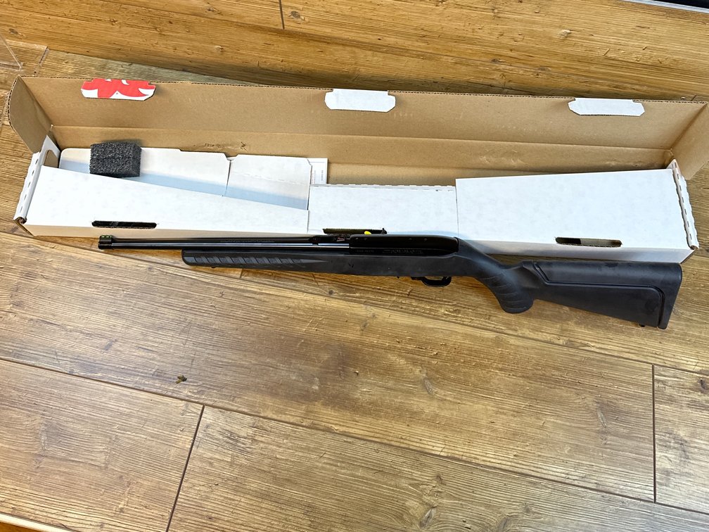 Ruger 10/22 rifle 22LR