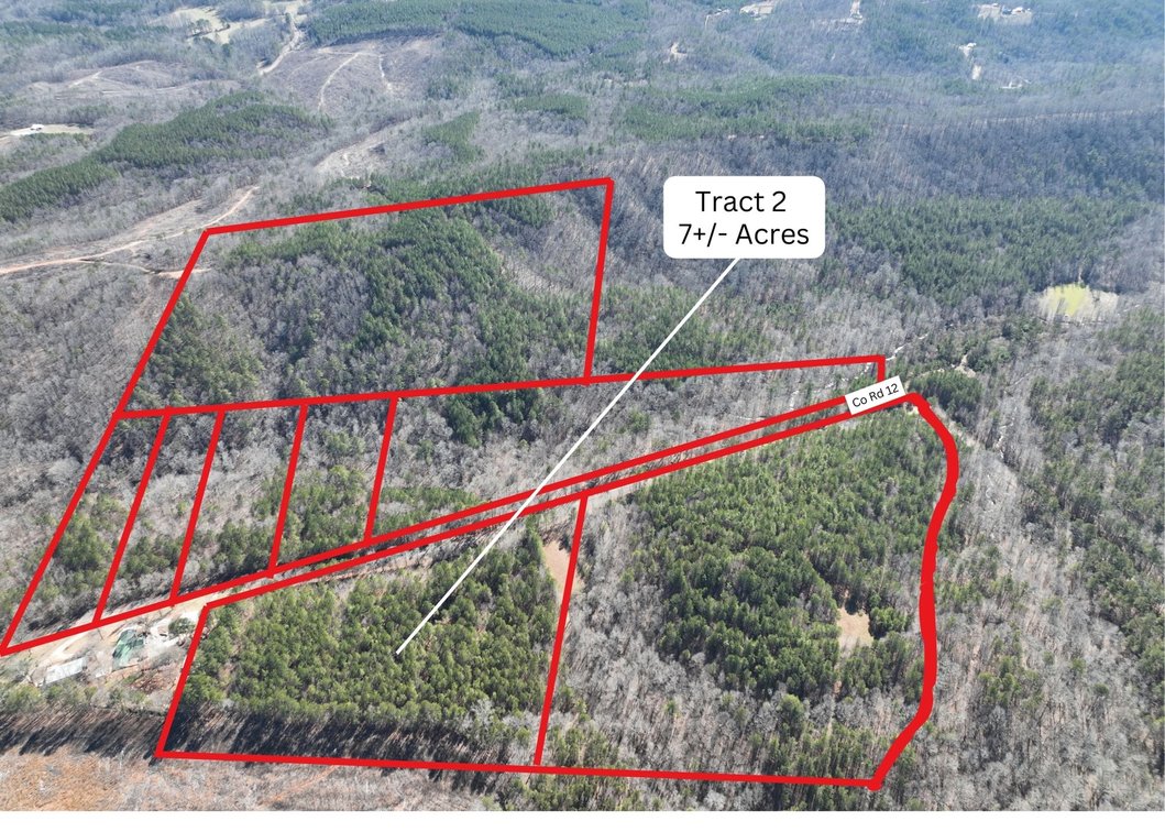 Tract 2 - 7+/- Acres