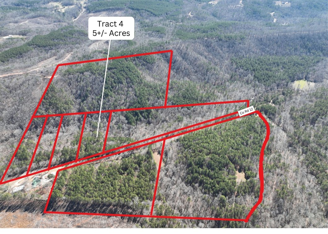 Tract 4 - 5+/- Acres