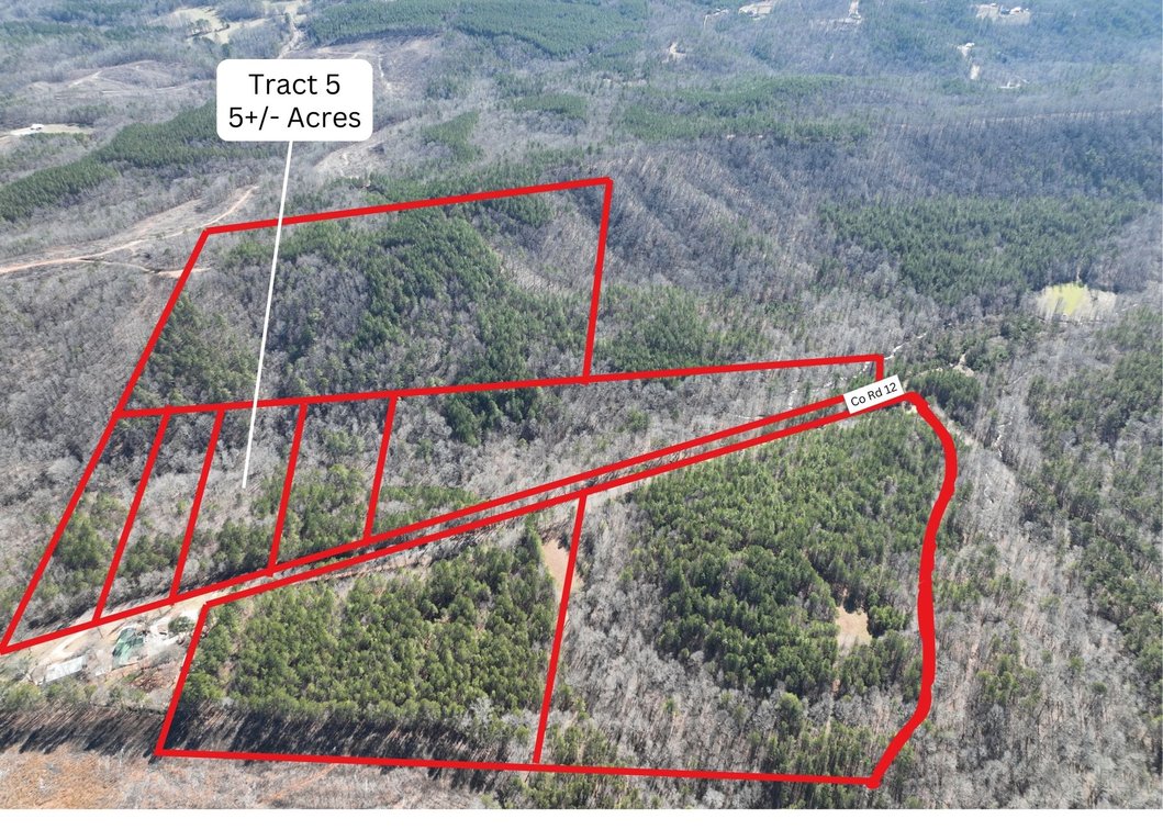 Tract 5 - 5+/- Acres