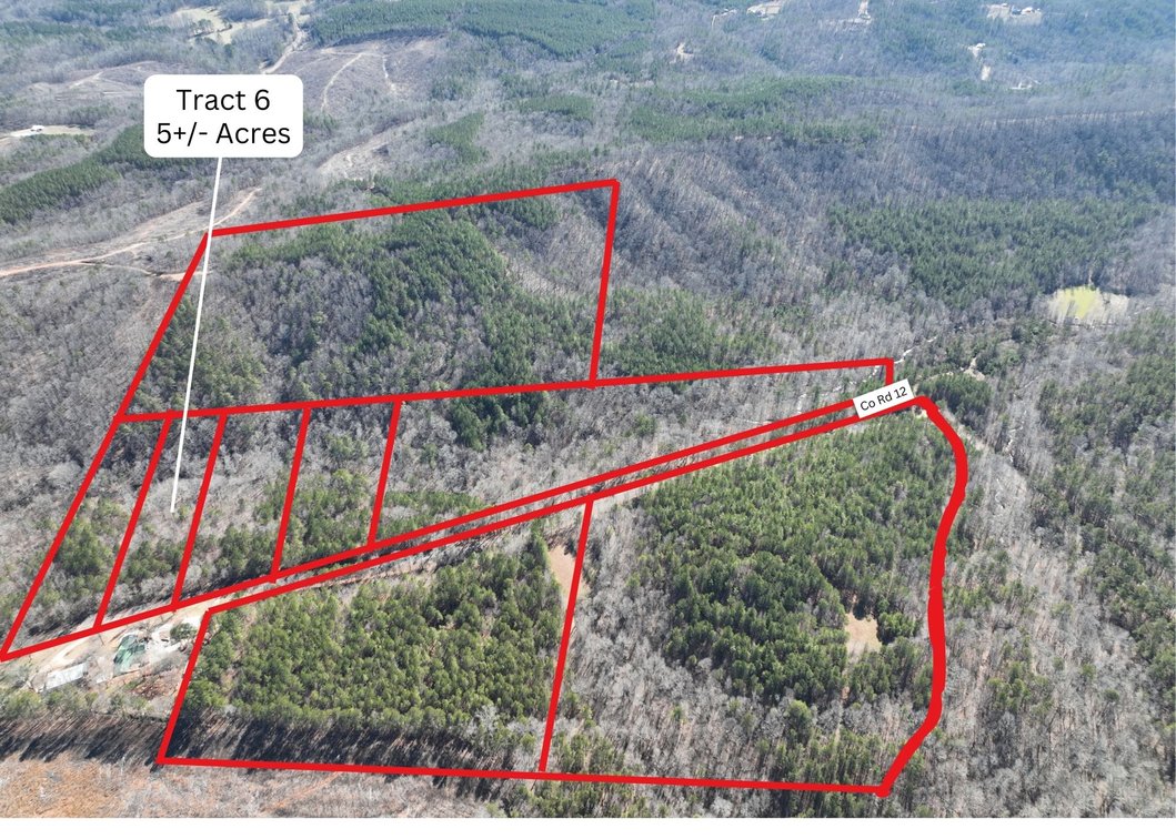 Tract 6 - 5+/- Acres