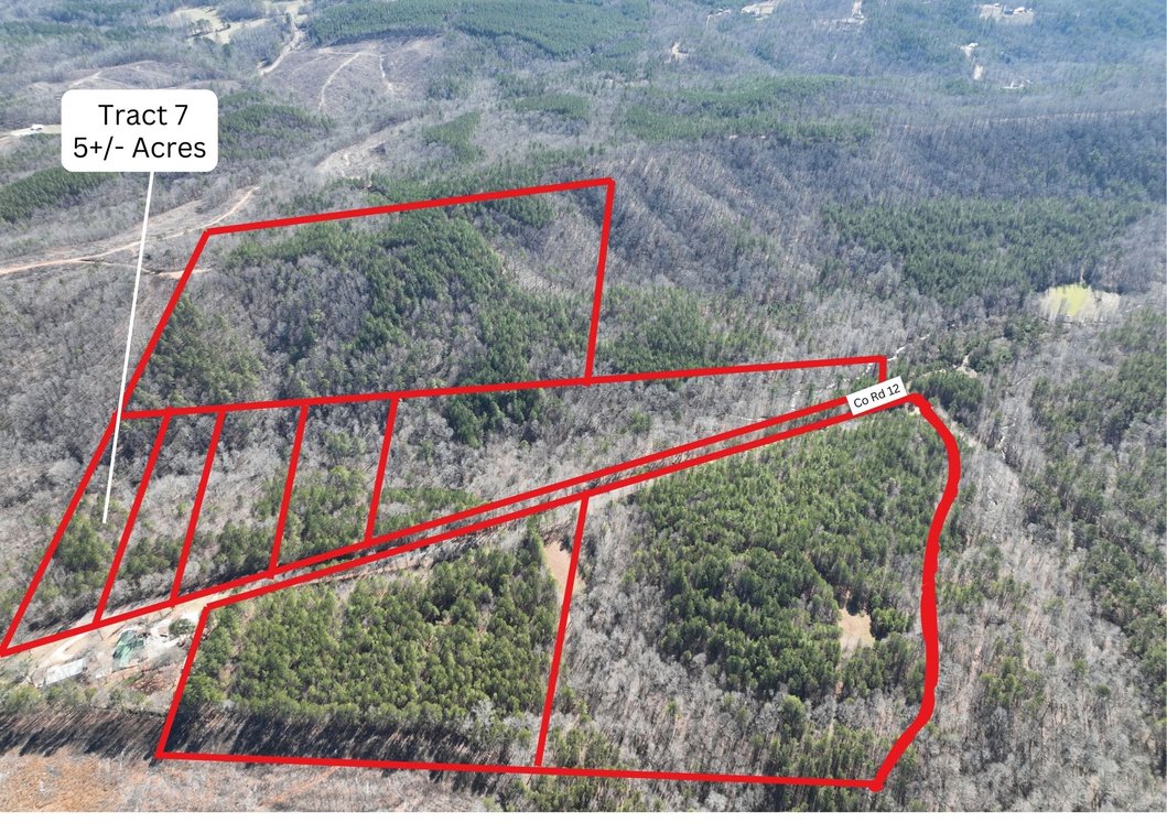 Tract 7 - 5+/- Acres 