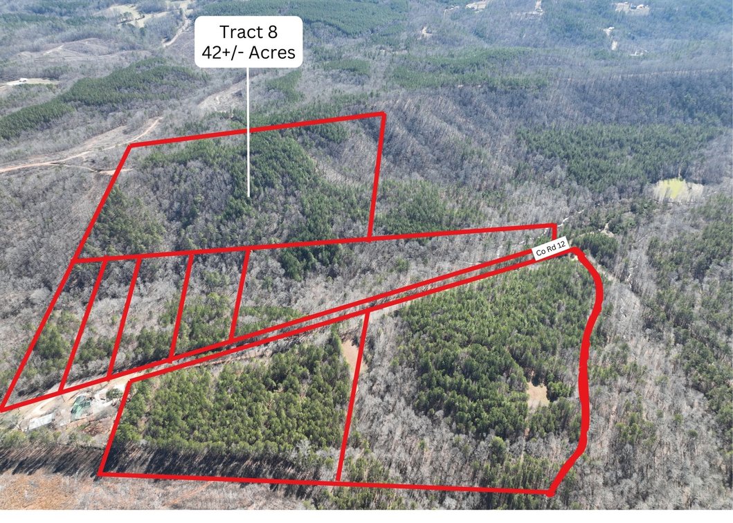 Tract 8 - 42+/- Acres 