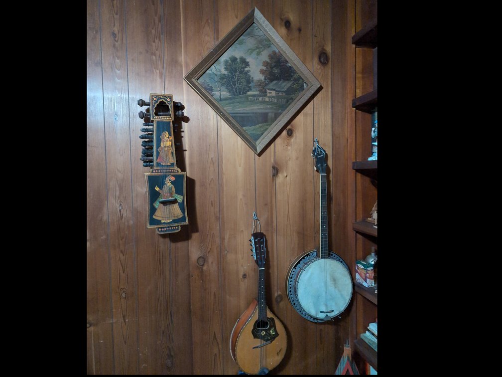 3 Vintage Stringed Instruments and 1 picture 