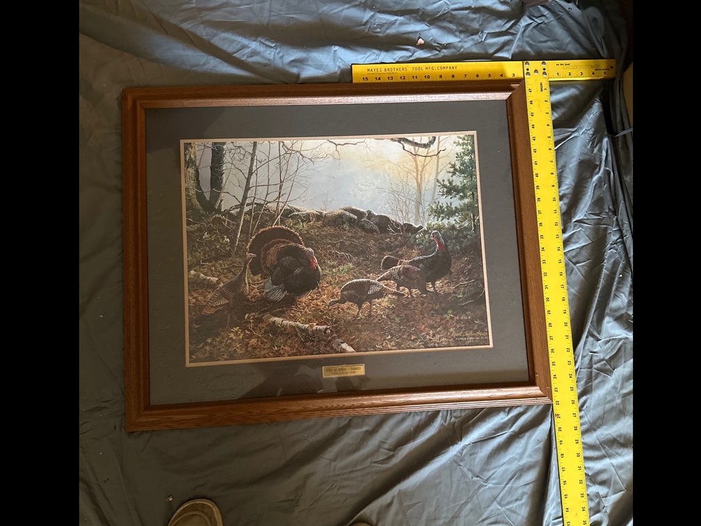 Wild life prints 