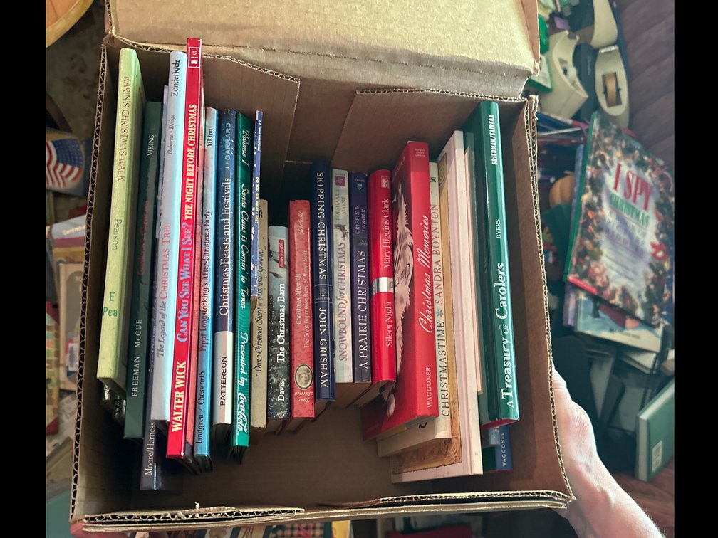 Christmas books 