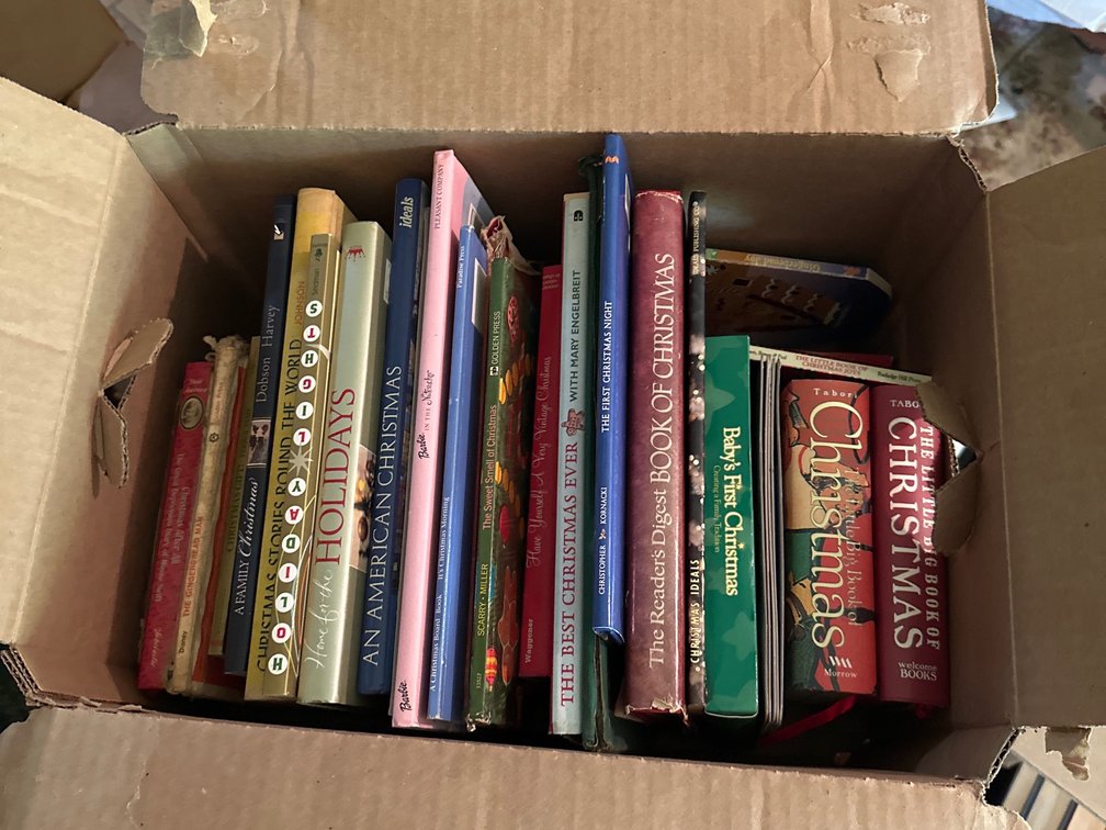 Christmas books 