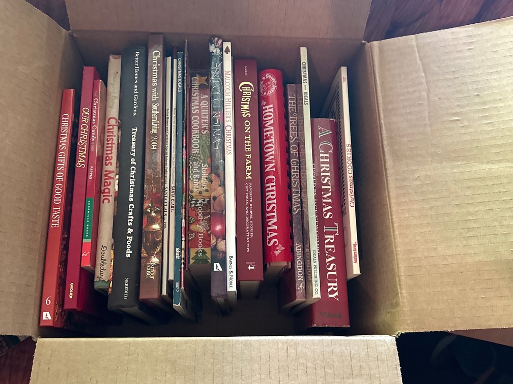 Christmas books 