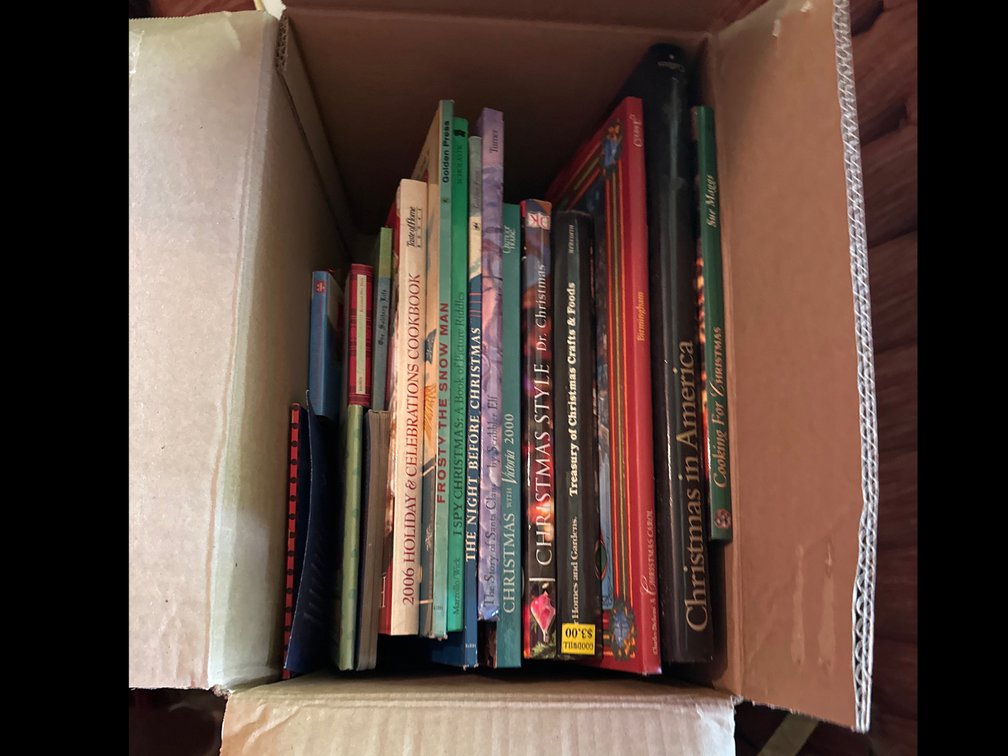 Christmas books 