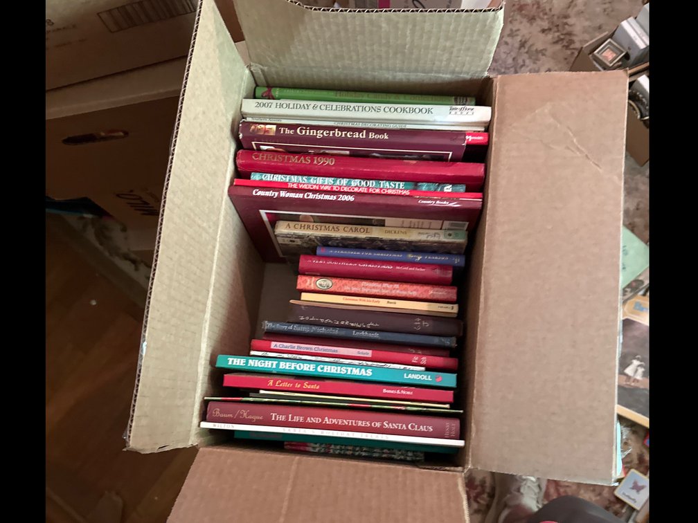 Christmas books 