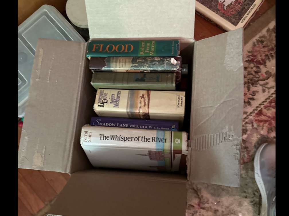 Novels 