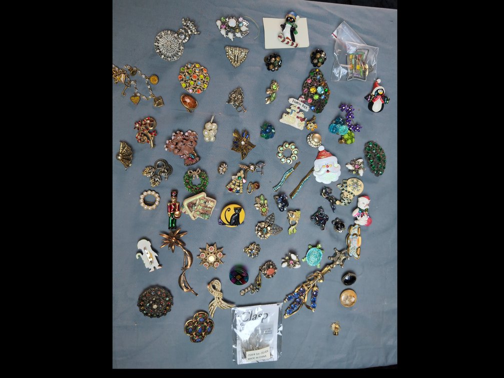 Assortment of Pins 