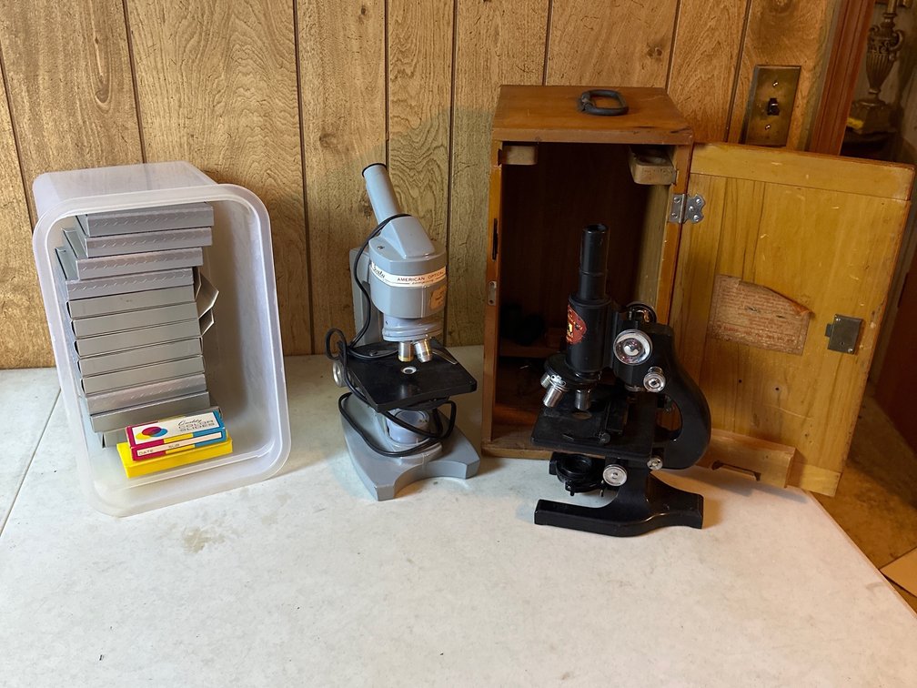 Microscopes with slides 