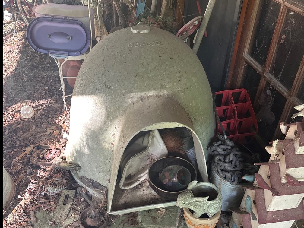 Dog house 