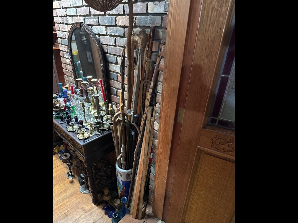 Walking sticks 
