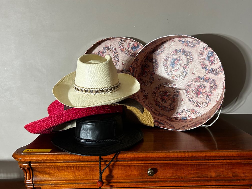 Resistol 7-1/4 Buck Horn Hat, hat box and other various hats