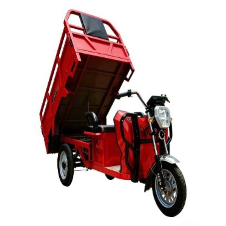 New Blue IRET13 Electric Tricycle