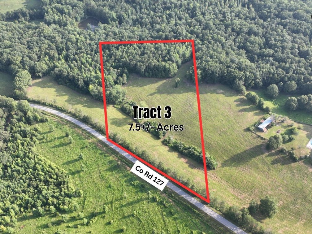 Image for Randolph County Farm & Acreage Auction — Home, Barn & Land Tracts | Roanoke, AL