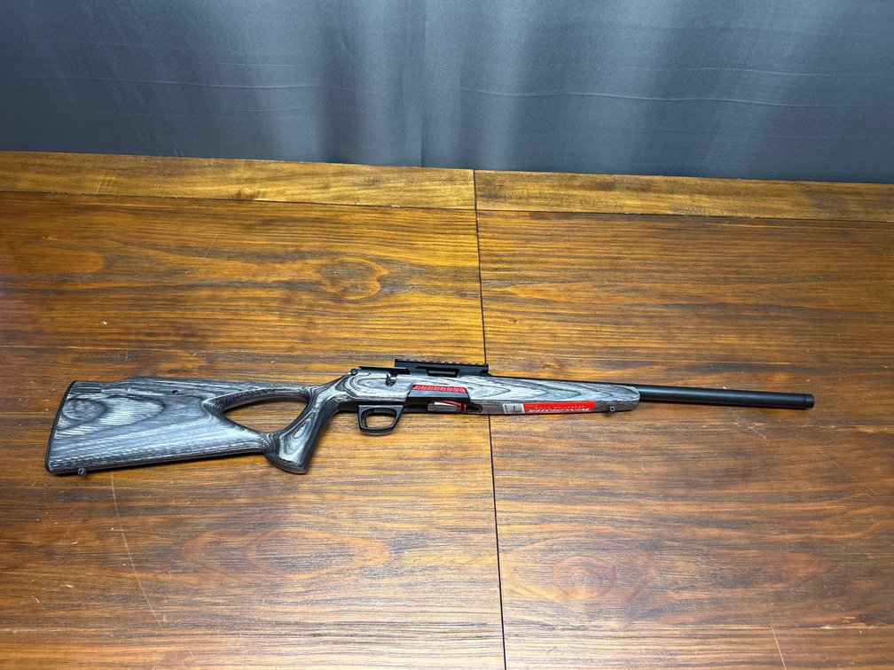 Winchester Xpert 22LR