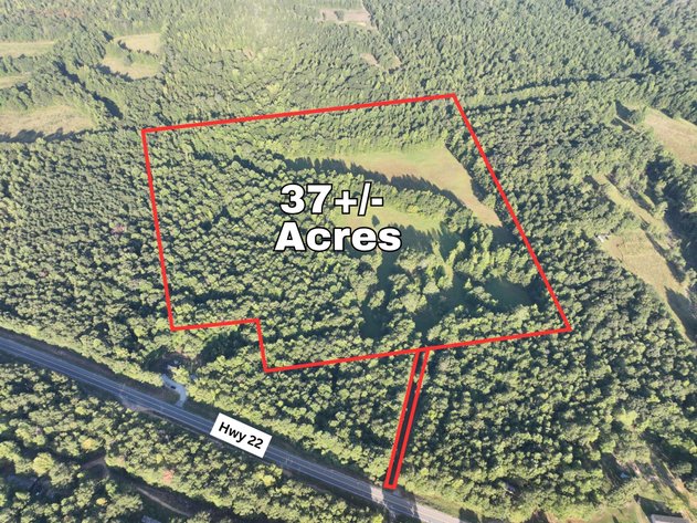 Image for Court Ordered Acreage Auction