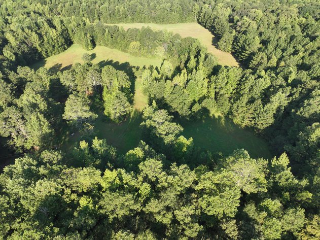 Image for Court Ordered Acreage Auction