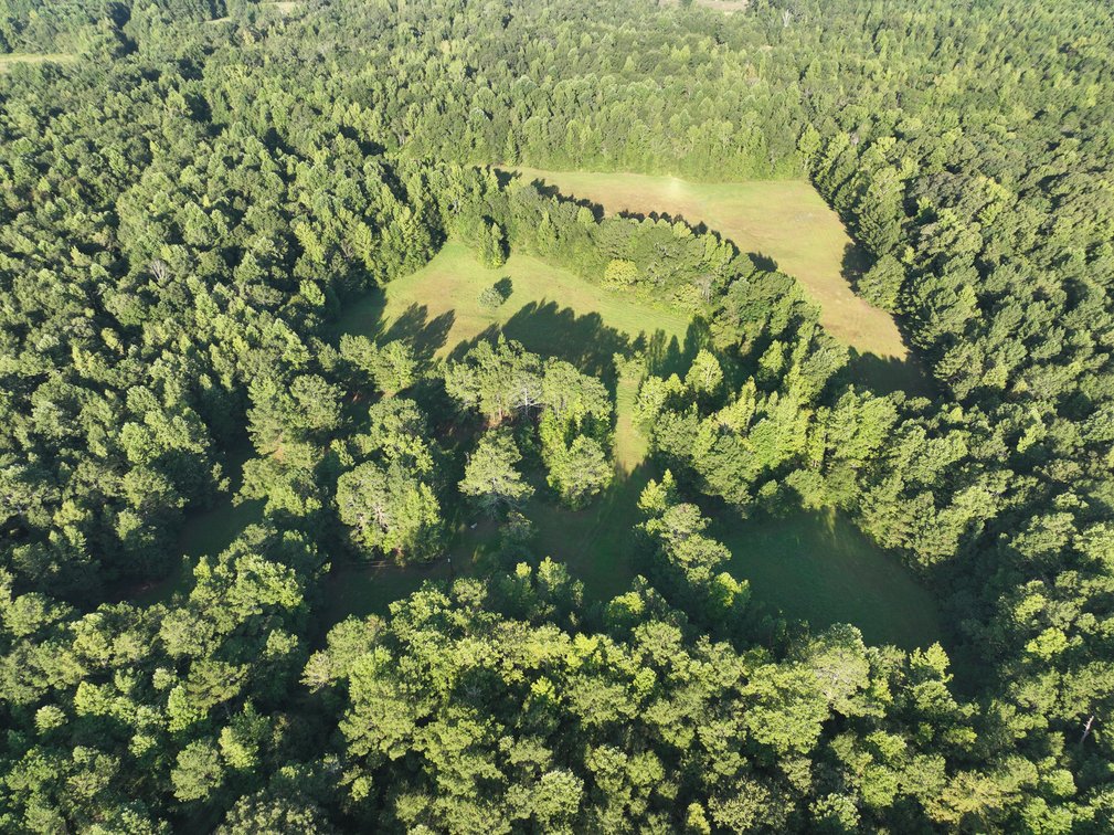 Image for Court Ordered Acreage Auction