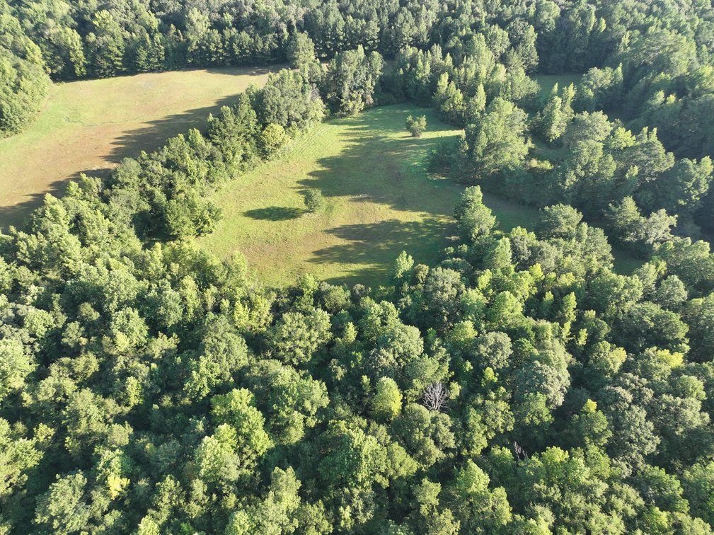 Image for Court Ordered Acreage Auction