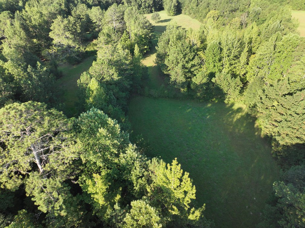 Image for Court Ordered Acreage Auction