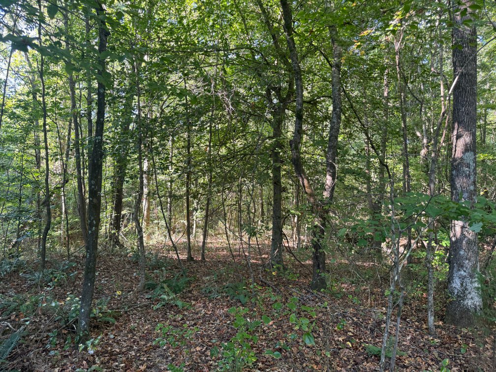 Image for Court Ordered Acreage Auction