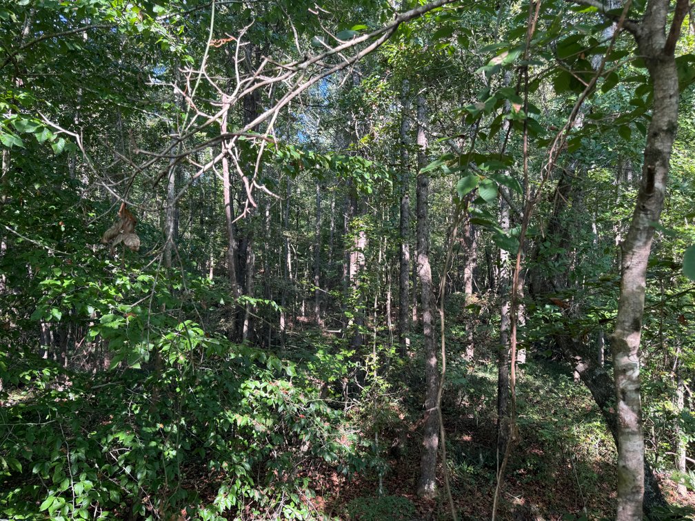 Image for Court Ordered Acreage Auction