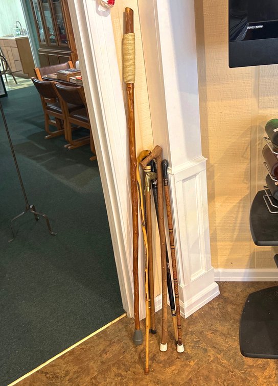 Walking Sticks