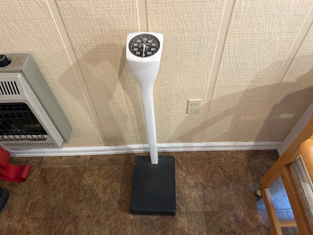 Health O Meter Scale