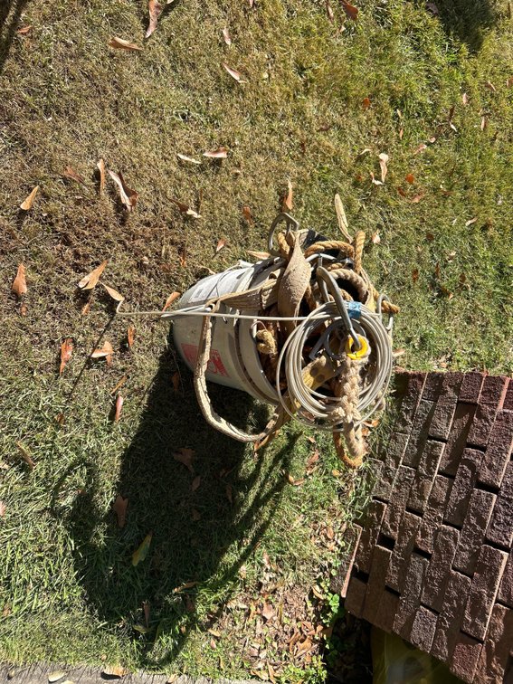 Bucket with Contents