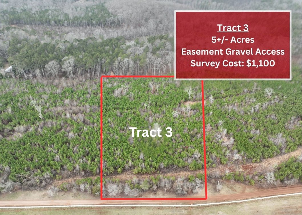 5+/- Acres