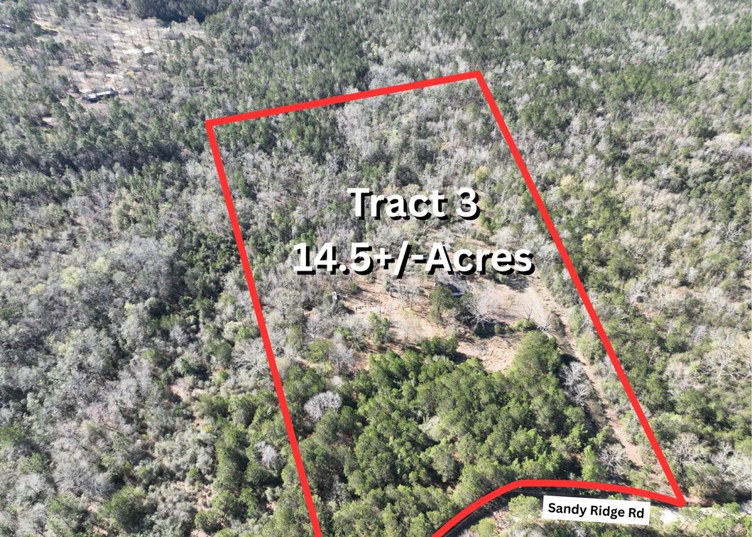 15690 Sandy Ridge Rd, Chunchula, AL 36521