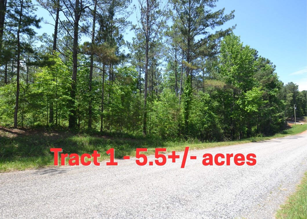 5.5+/- Acres on County Road 39
