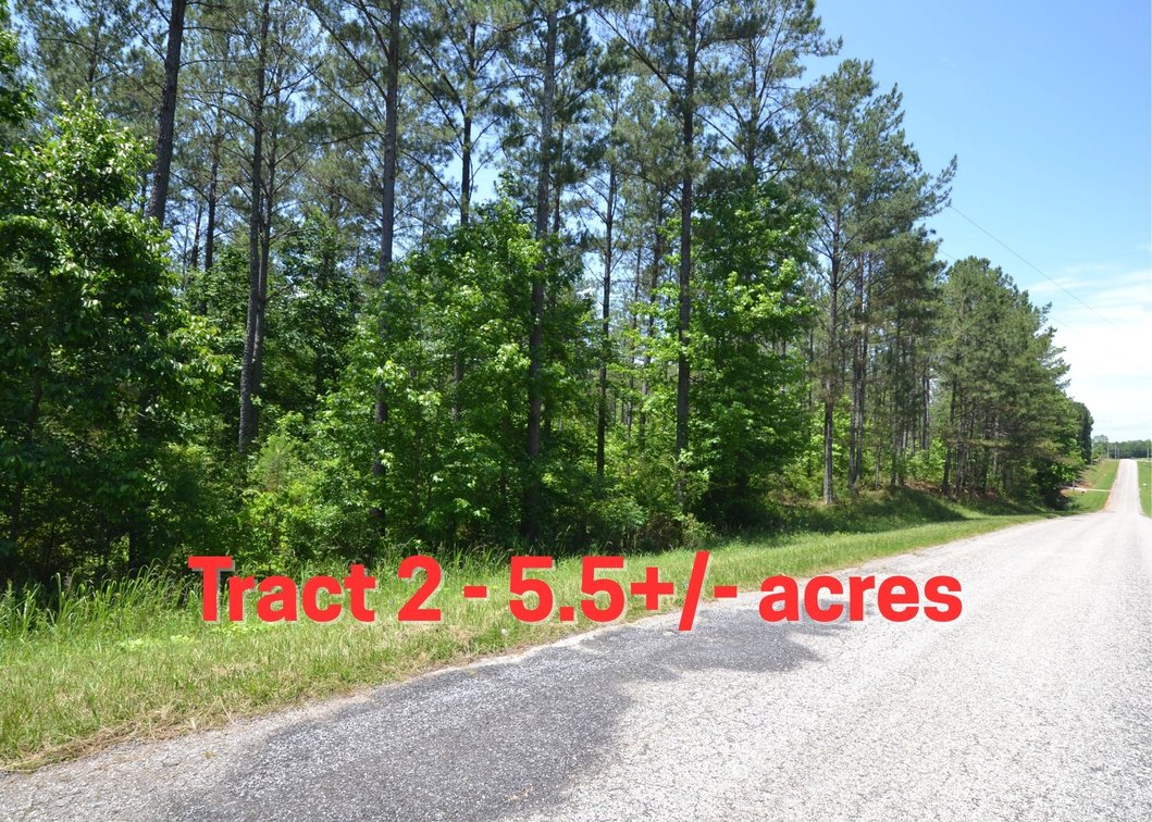 5.5+/- Acres on County Road 39