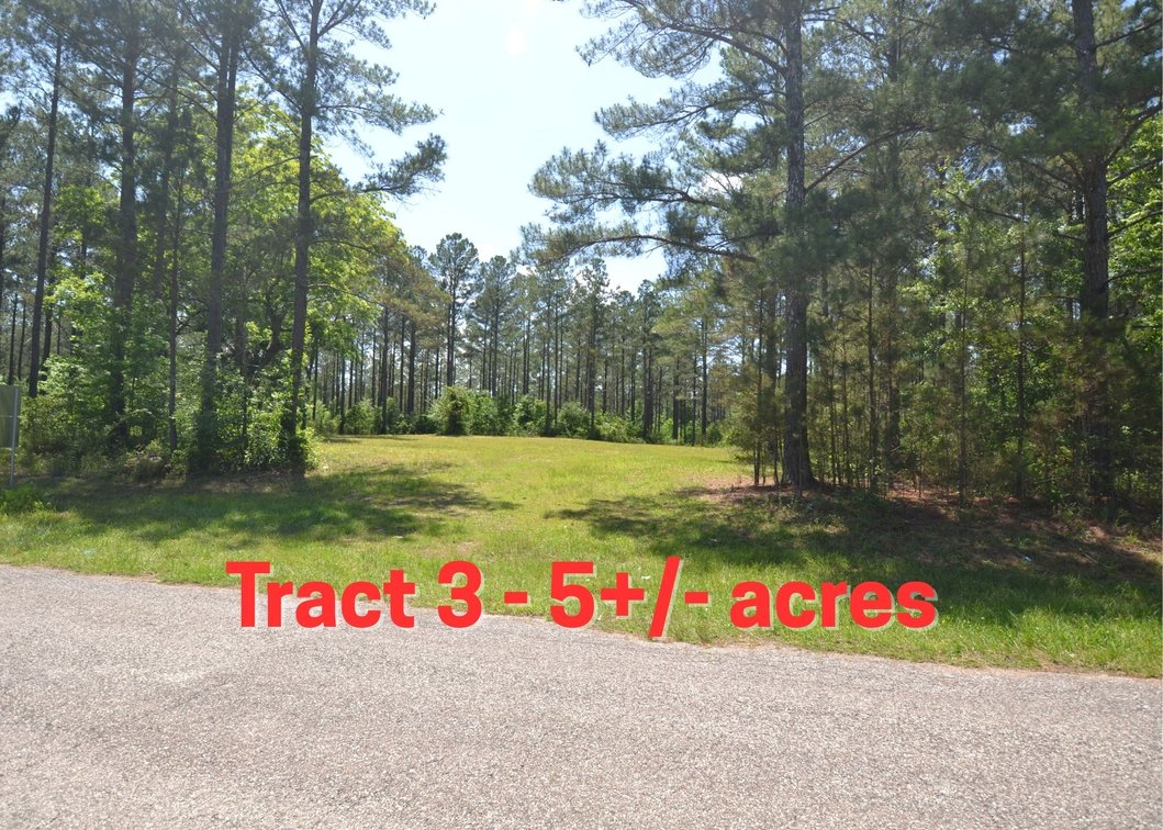 5+/- Acres on County Road 39