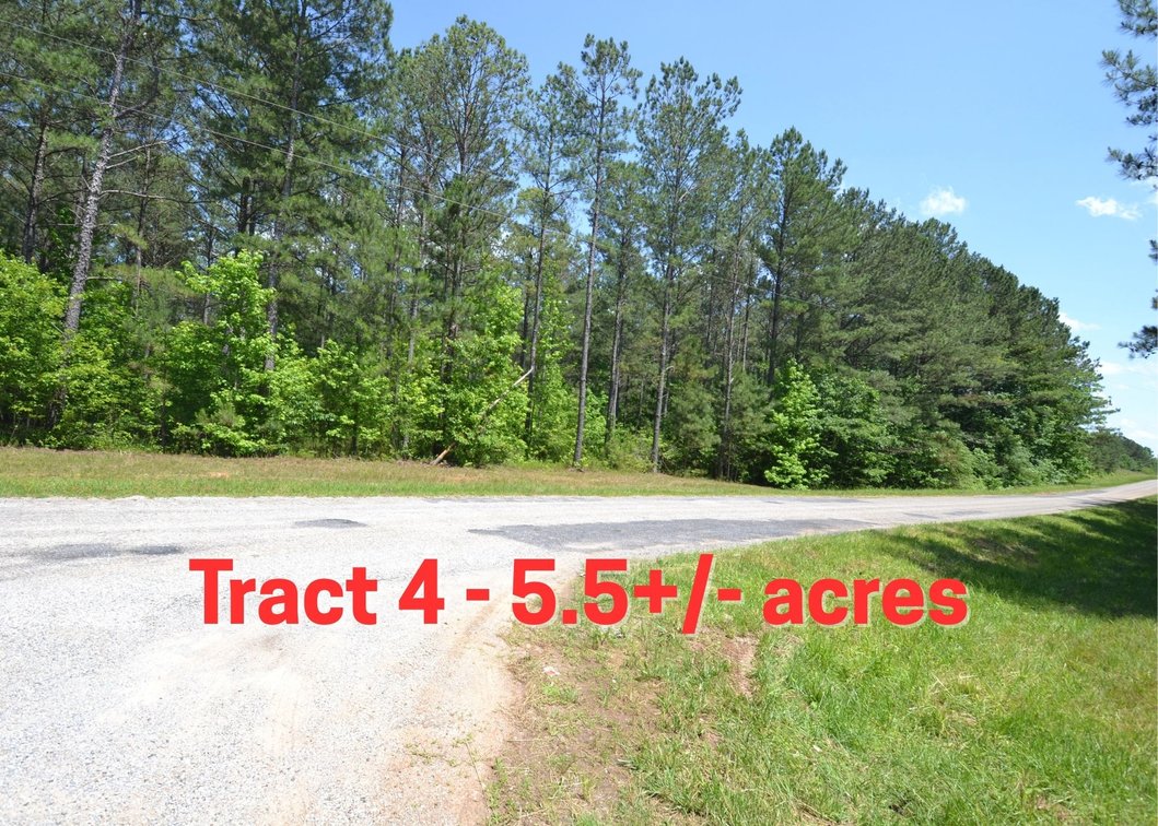 5.5+/- Acres on County Road 39