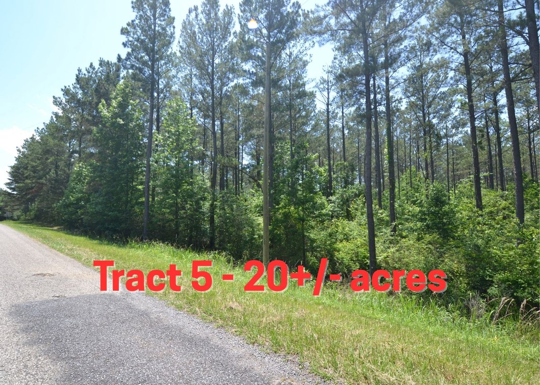 20+/- Acres on County Road 39