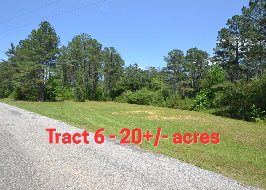 20+/- Acres on County Road 39