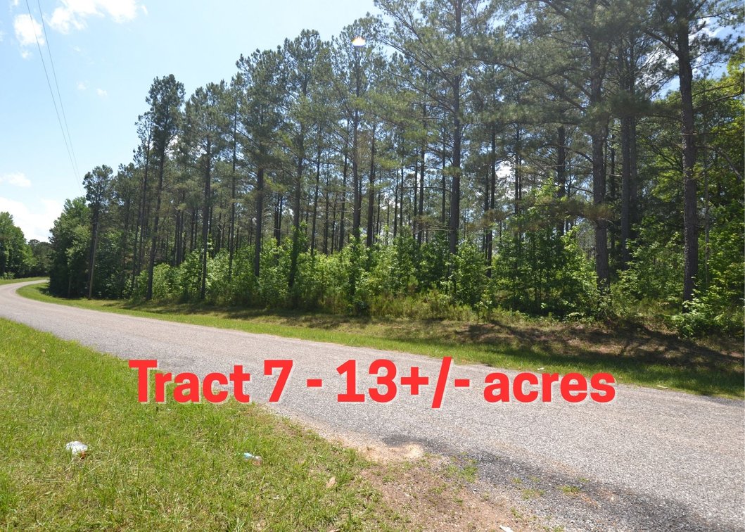 13+/- Acres on County Road 340