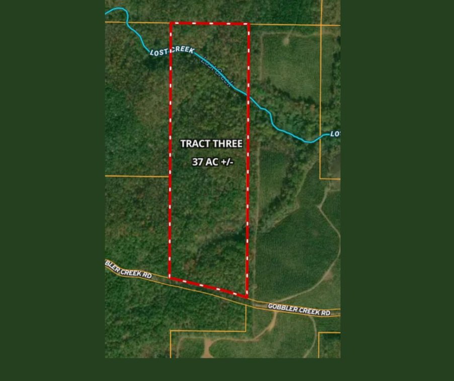 37± Acres on Gobbler Creek Road 