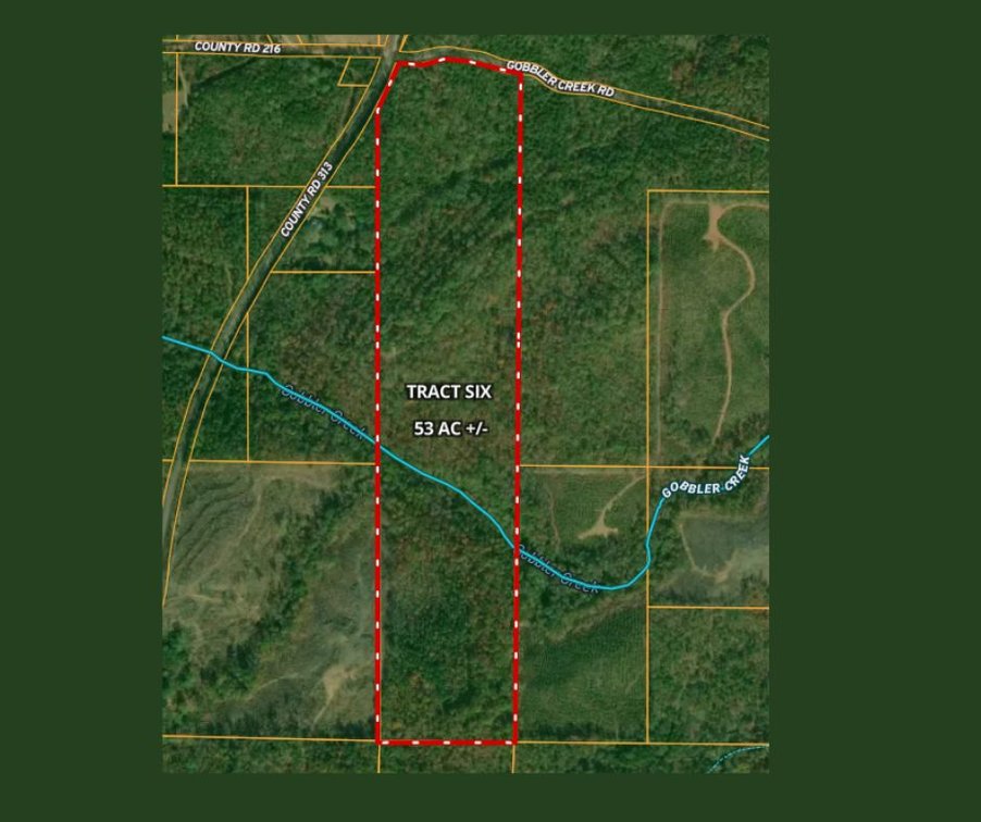 53± Acres on Gobbler Creek and County Road 313
